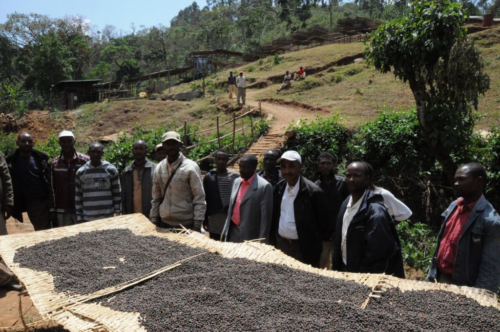 ethiopia adado