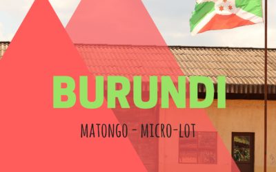 Brewing & Tasting: Burundi Matongo