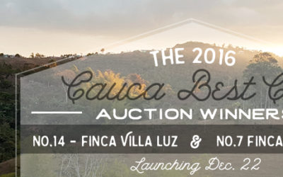 Join Us – Cauca Best Cup Auction Coffee Launch
