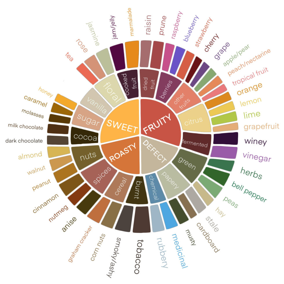 A Guide To Tasting Coffee - Patriot Coffee